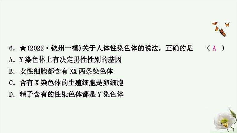 人教版中考生物复习八年级下册第七单元第二章生物的遗传与变异课件第7页