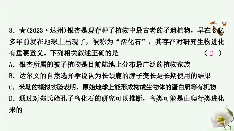 人教版中考生物复习八年级下册第七单元第三章生命起源和生物进化课件第4页