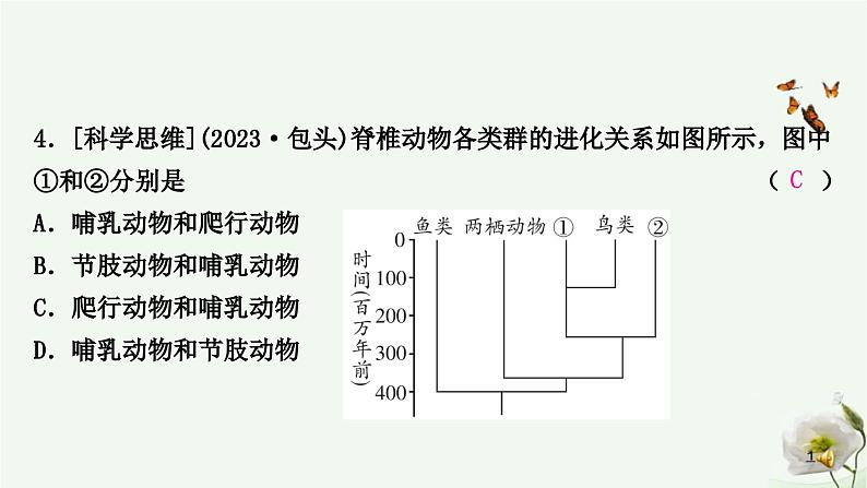 人教版中考生物复习八年级下册第七单元第三章生命起源和生物进化课件第5页