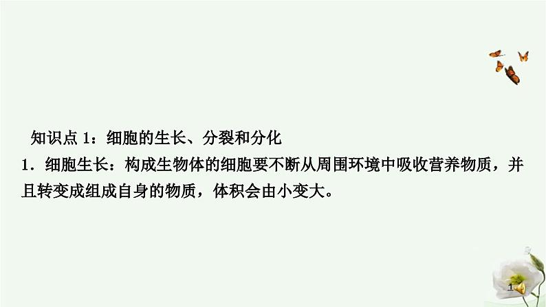 人教版中考生物复习七年级上册第二单元第二章细胞怎样构成生物体课件02