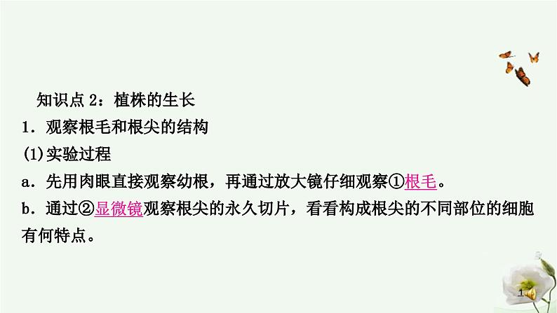 人教版中考生物复习七年级上册第三单元第二章被子植物的一生课件08