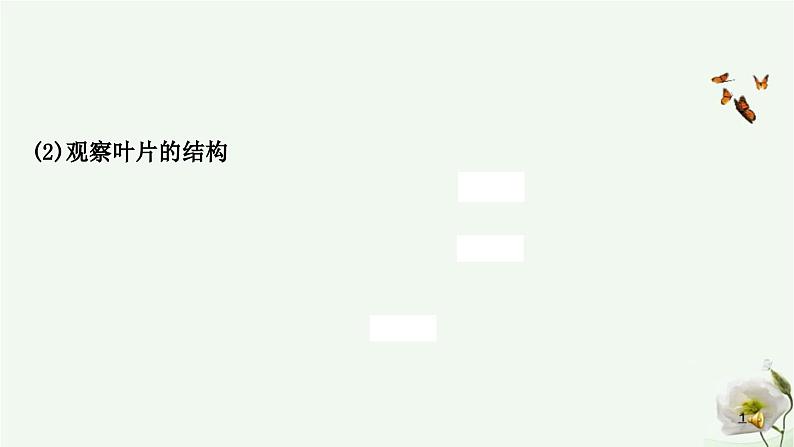 人教版中考生物复习七年级上册第三单元第三章绿色植物与生物圈的水循环课件第6页