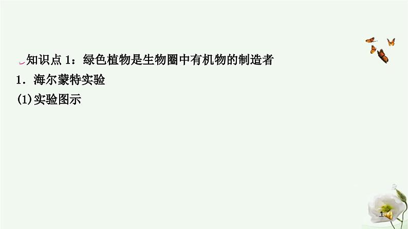 人教版中考生物复习七年级上册第三单元第四章 第五章 第六章课件第2页