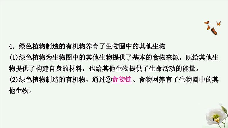 人教版中考生物复习七年级上册第三单元第四章 第五章 第六章课件第5页