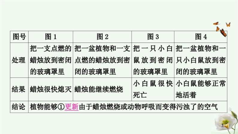 人教版中考生物复习七年级上册第三单元第四章 第五章 第六章课件07