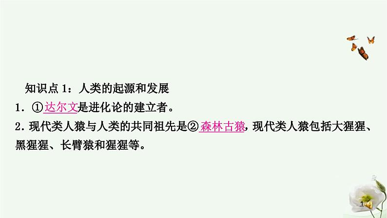 人教版中考生物复习七年级下册第四单元第一章人的由来课件02