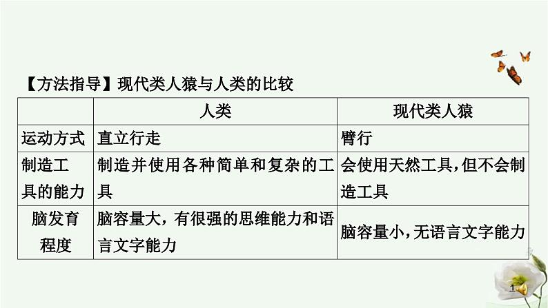 人教版中考生物复习七年级下册第四单元第一章人的由来课件05