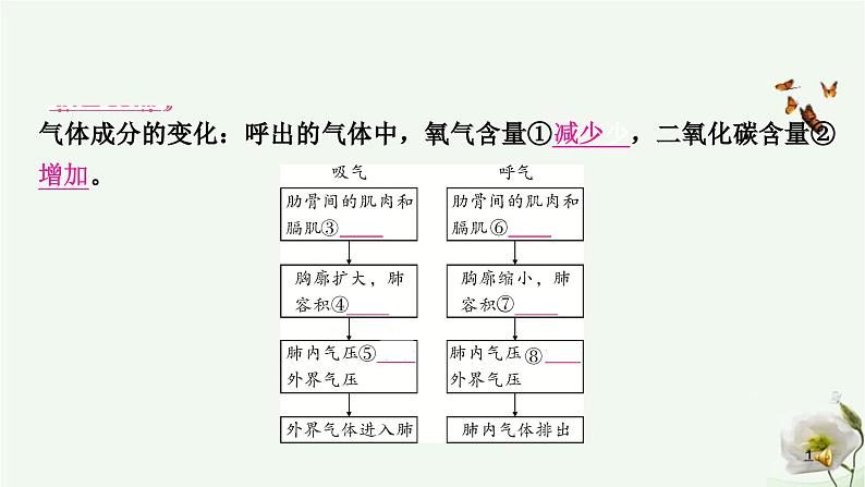 人教版中考生物复习七年级下册第四单元第三章人体的呼吸课件08