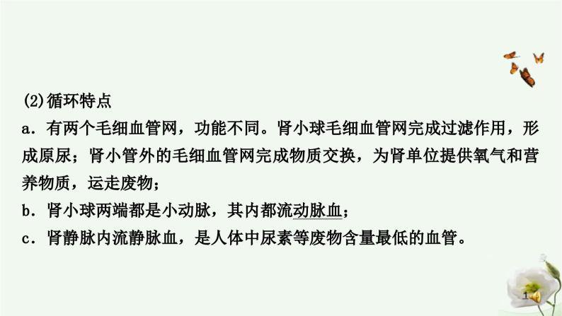 人教版中考生物复习七年级下册第四单元第五章人体内废物的排出课件05