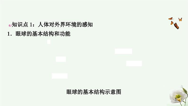 人教版中考生物复习七年级下册第四单元第六章人体生命活动的调节 第七章人类活动对生物圈的影响课件02