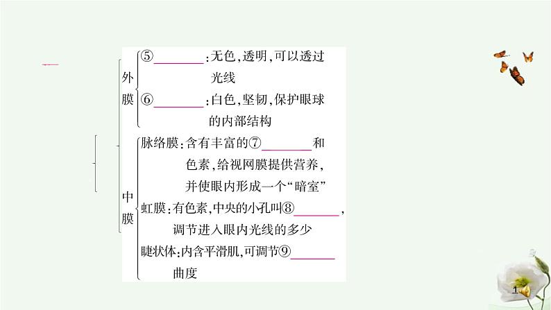 人教版中考生物复习七年级下册第四单元第六章人体生命活动的调节 第七章人类活动对生物圈的影响课件03