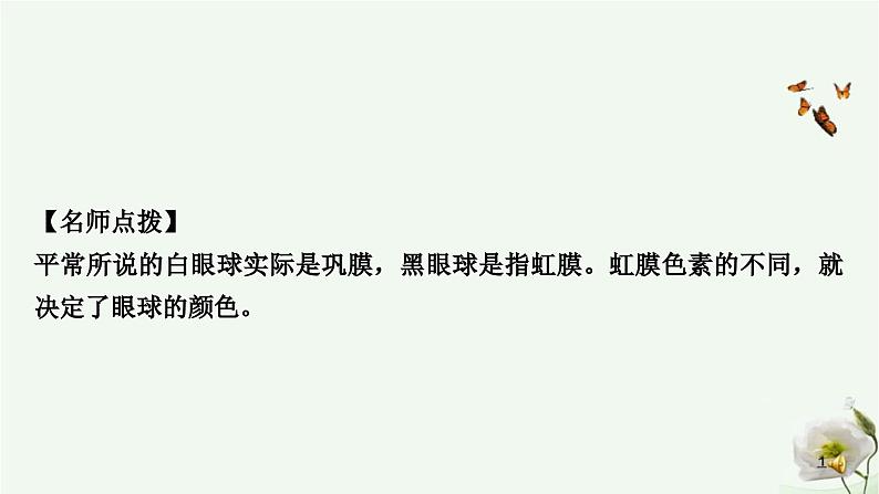 人教版中考生物复习七年级下册第四单元第六章人体生命活动的调节 第七章人类活动对生物圈的影响课件06