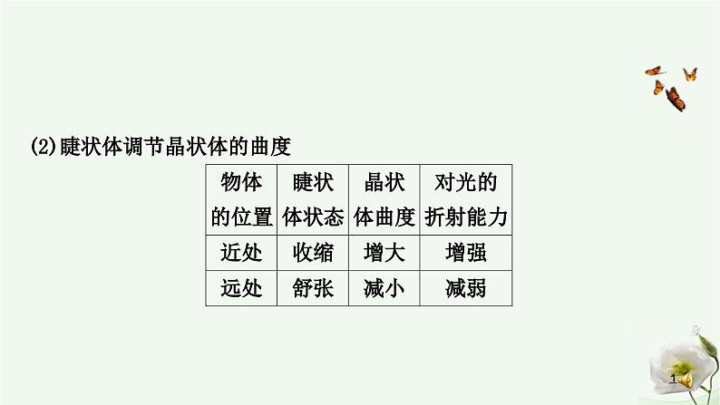 人教版中考生物复习七年级下册第四单元第六章人体生命活动的调节 第七章人类活动对生物圈的影响课件08