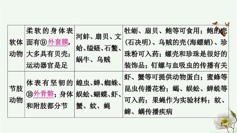 人教版中考生物复习八年级上册第五单元第一章动物的主要类群课件05