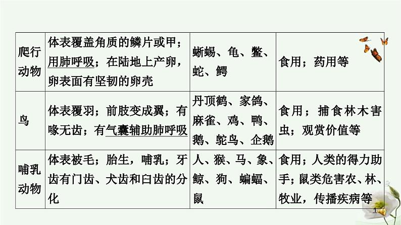 人教版中考生物复习八年级上册第五单元第一章动物的主要类群课件08