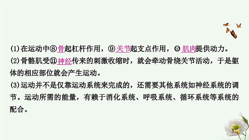 人教版中考生物复习八年级上册第五单元第二章动物的运动和行为 第三章动物在生物圈中的作用课件第7页