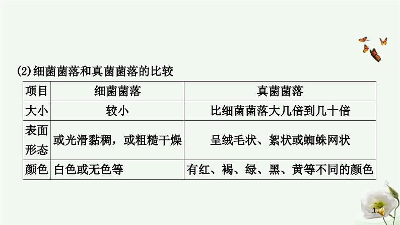 人教版中考生物复习八年级上册第五单元第四章细菌和真菌 第五章病毒课件03