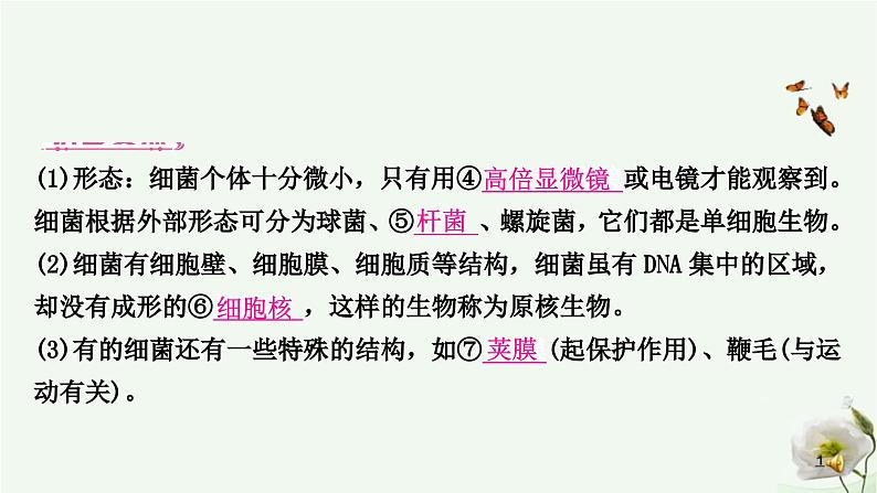 人教版中考生物复习八年级上册第五单元第四章细菌和真菌 第五章病毒课件08