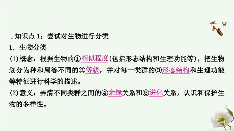 人教版中考生物复习八年级上册第六单元生物的多样性及其保护课件第2页