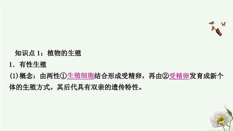 人教版中考生物复习八年级下册第七单元第一章生物的生殖和发育课件02