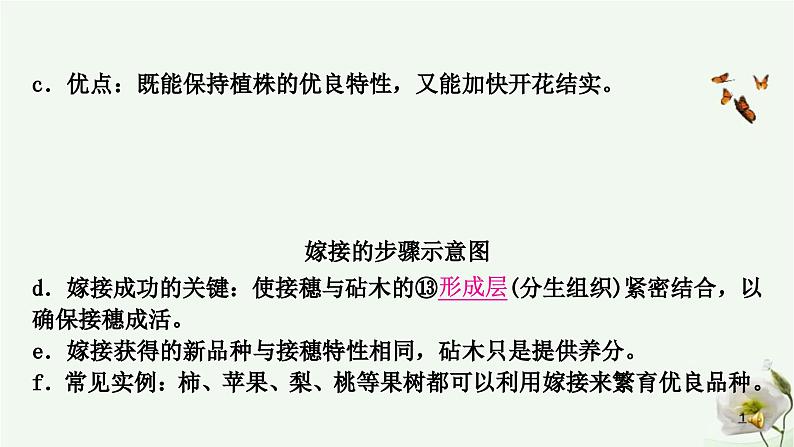 人教版中考生物复习八年级下册第七单元第一章生物的生殖和发育课件05