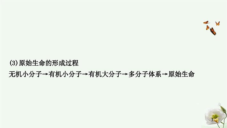 人教版中考生物复习八年级下册第七单元第三章生命起源和生物进化课件第4页