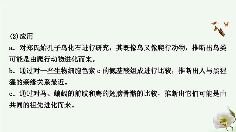 人教版中考生物复习八年级下册第七单元第三章生命起源和生物进化课件第6页