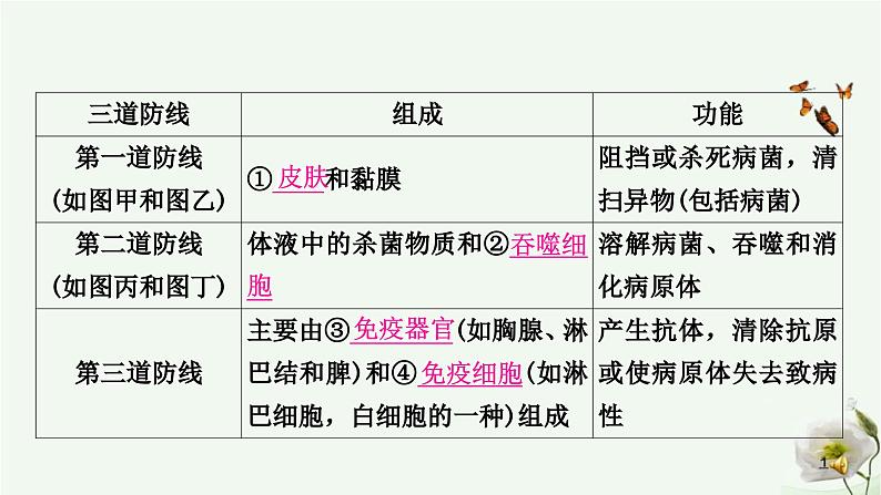 人教版中考生物复习八年级下册第八单元第一章传染病和免疫课件08