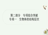 人教版中考生物复习专项一生物体的结构层次课件