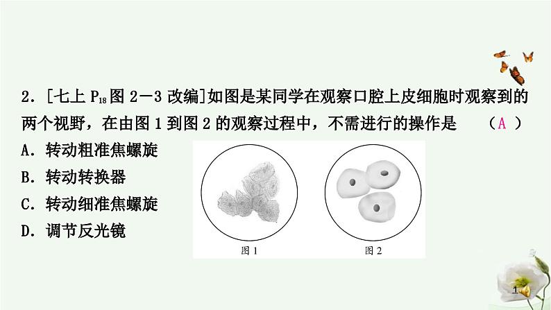 人教版中考生物复习专项一生物体的结构层次课件03