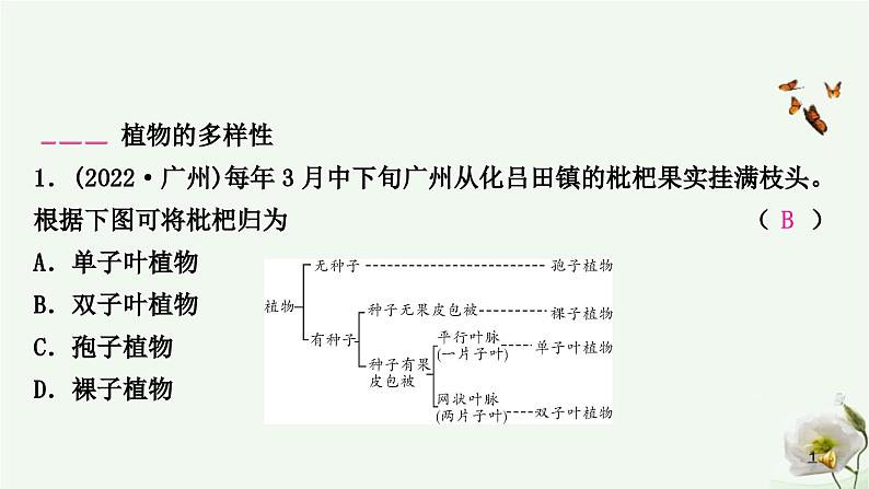 人教版中考生物复习专项六生物的多样性课件第2页