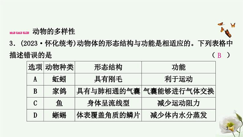 人教版中考生物复习专项六生物的多样性课件第4页