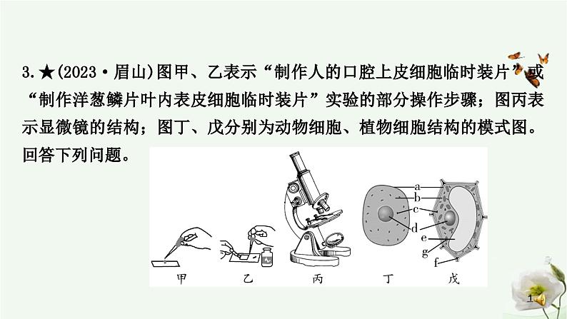 人教版中考生物复习专项十实验探究题课件06