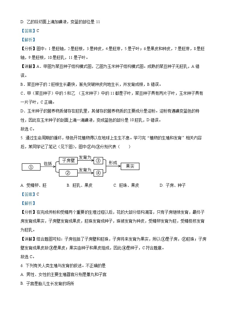 2024年河南省周口市扶沟县中考一模生物试题（原卷版+解析版）03