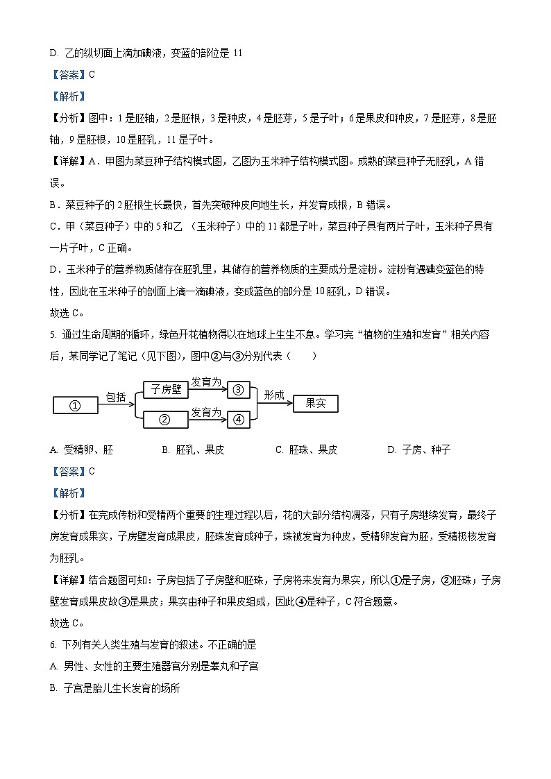 2024年河南省周口市扶沟县中考一模生物试题（原卷版+解析版）03