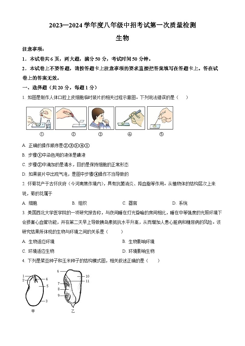 2024年河南省周口市扶沟县中考一模生物试题（原卷版+解析版）01