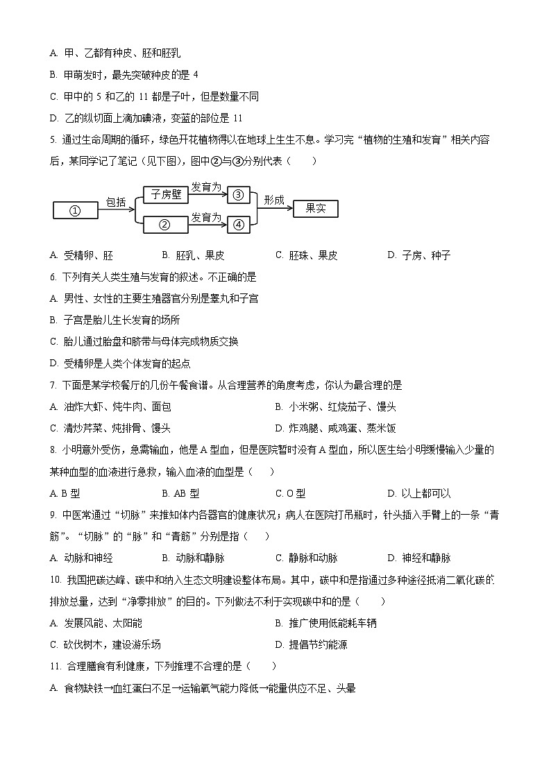 2024年河南省周口市扶沟县中考一模生物试题（原卷版+解析版）02