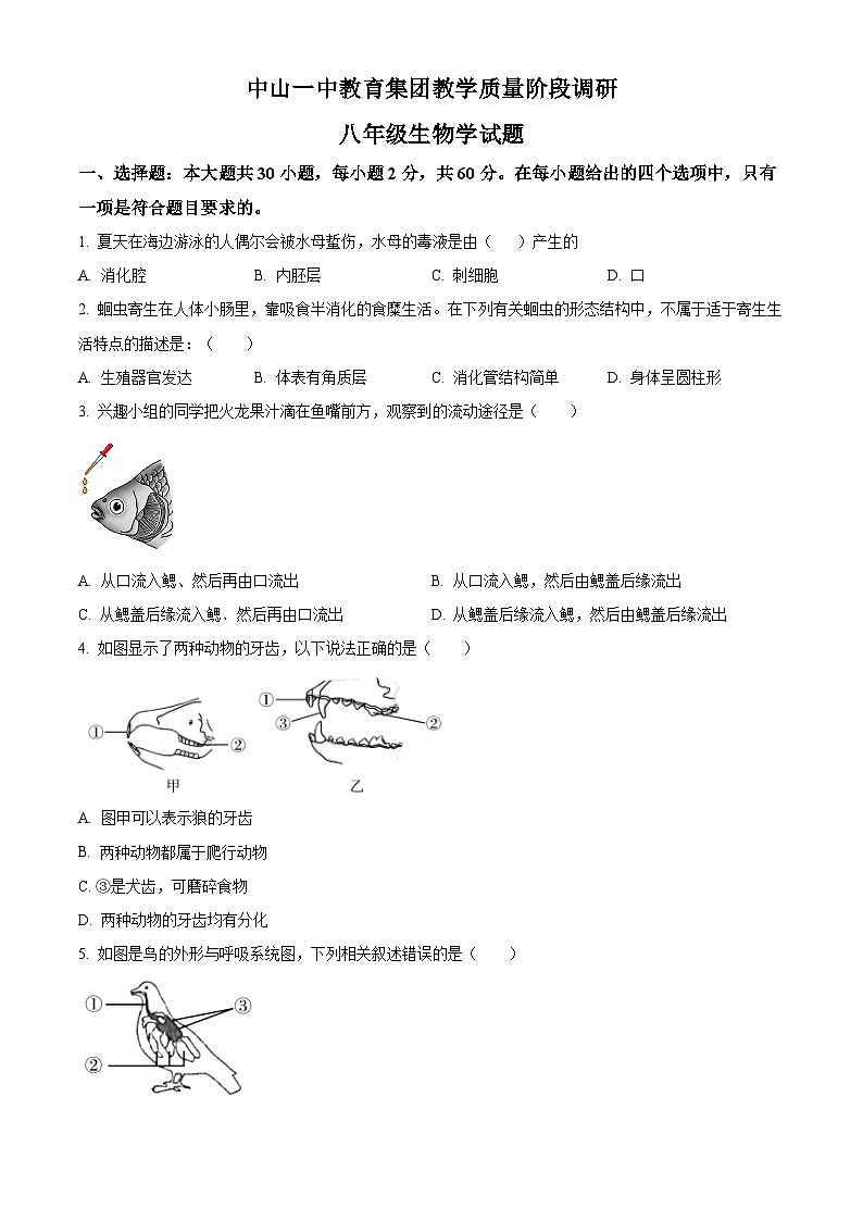 广东省中山市第一中学教育集团2023-2024学年八年级下学期中考一模生物试题（原卷版+解析版）01