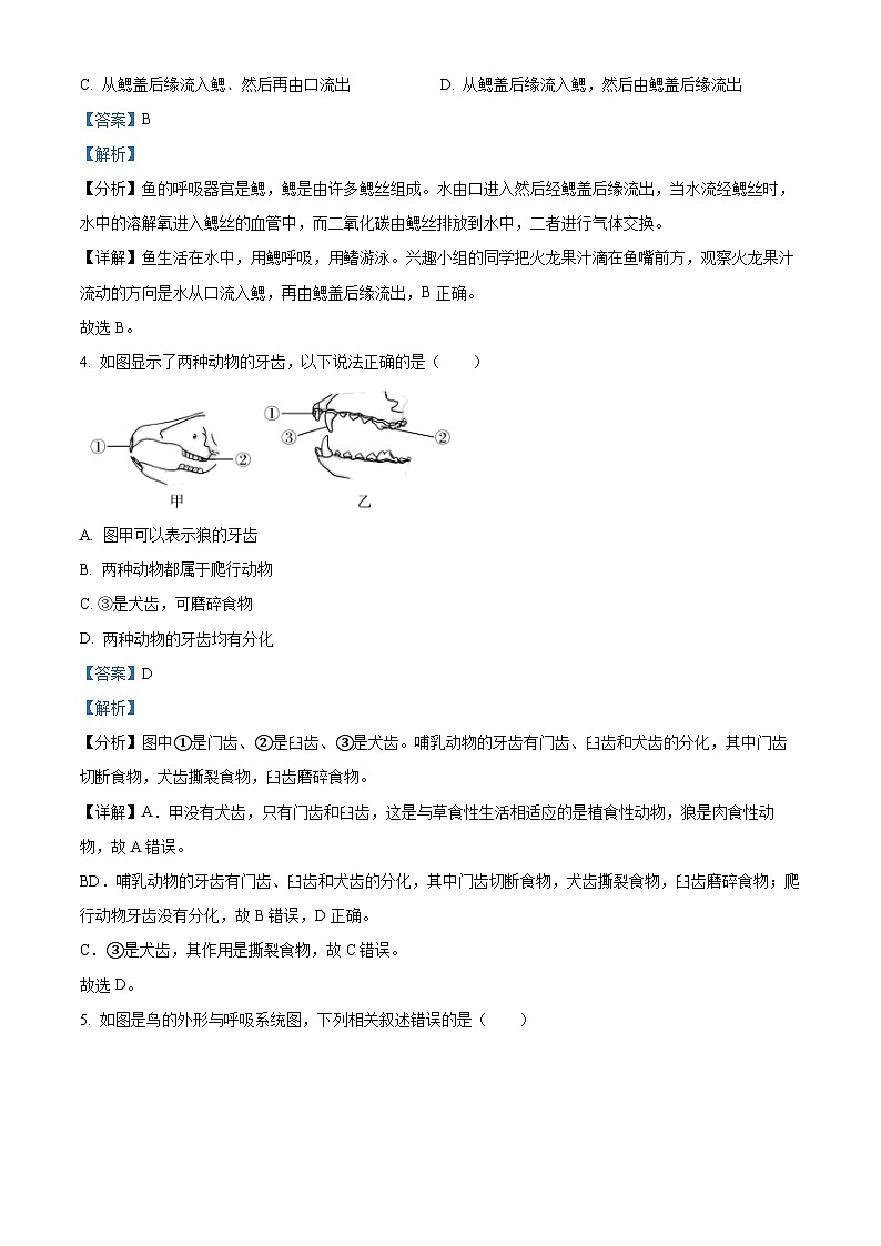 广东省中山市第一中学教育集团2023-2024学年八年级下学期中考一模生物试题（原卷版+解析版）02