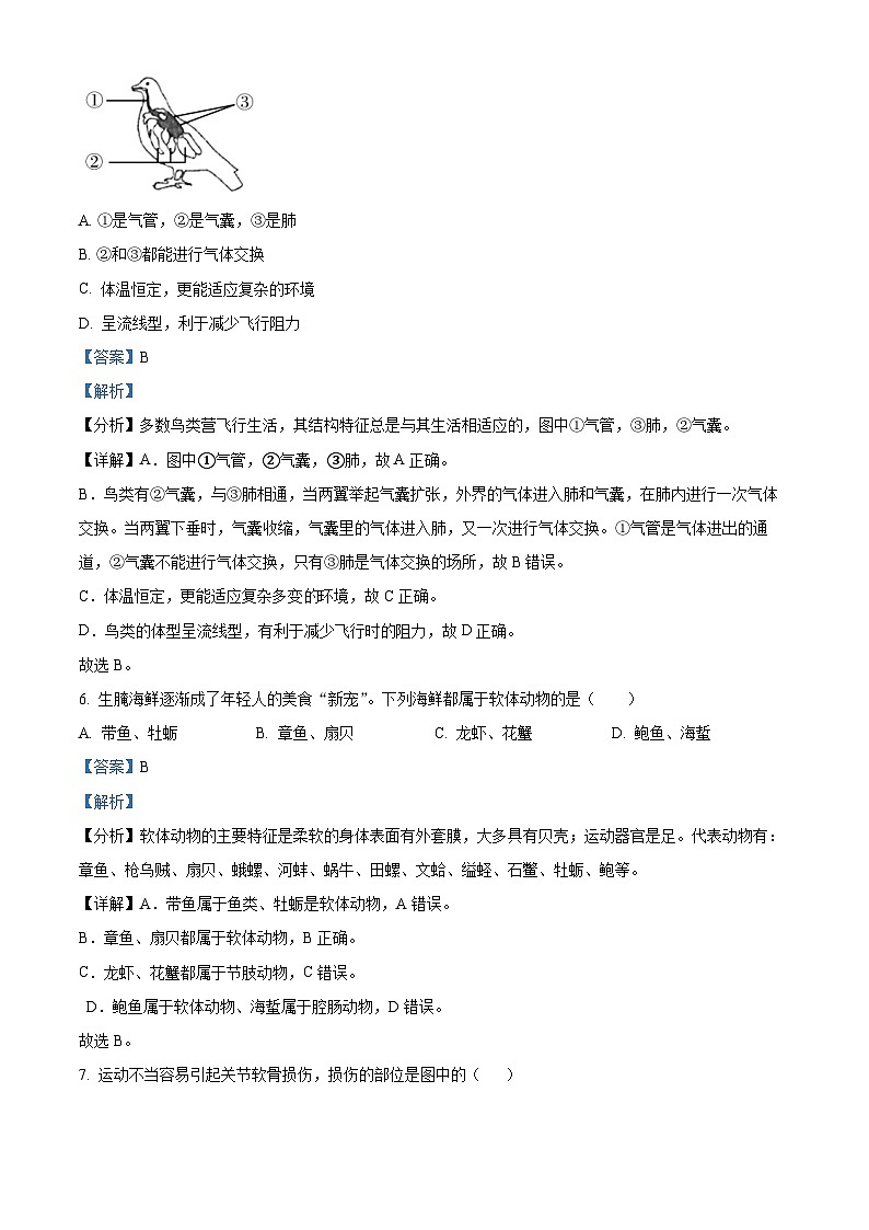 广东省中山市第一中学教育集团2023-2024学年八年级下学期中考一模生物试题（原卷版+解析版）03