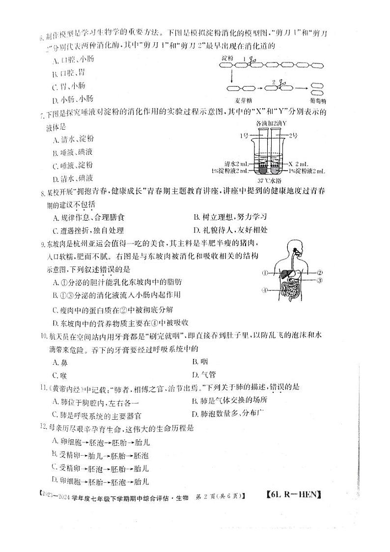 河南省郑州市新郑市2023-2024学年七年级下学期4月期中生物试题02