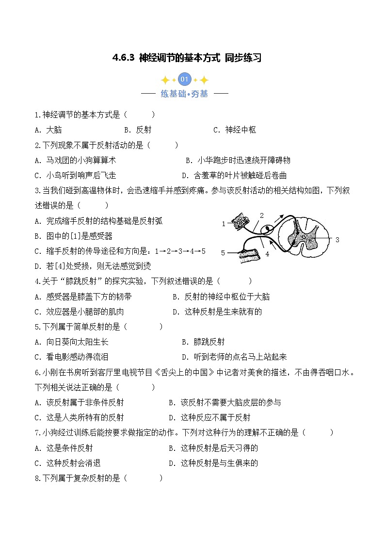 4.6.3 神经调节的基本方式-七年级生物下册 教学课件+教学设计+练习（人教版）01