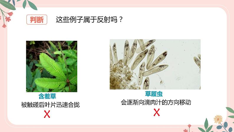 4.6.3 神经调节的基本方式-七年级生物下册 教学课件+教学设计+练习（人教版）08