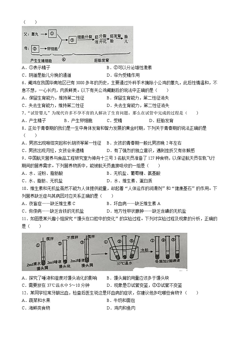 广东省东莞市松山湖北区学校2023-2024学年七年级下学期期中考试生物测试题(无答案)第2页