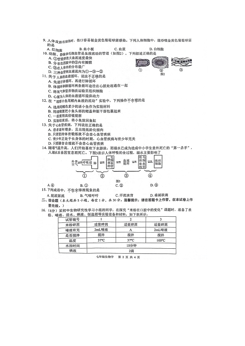 广西百色市2023-2024学年七年级下学期4月期中生物试题02