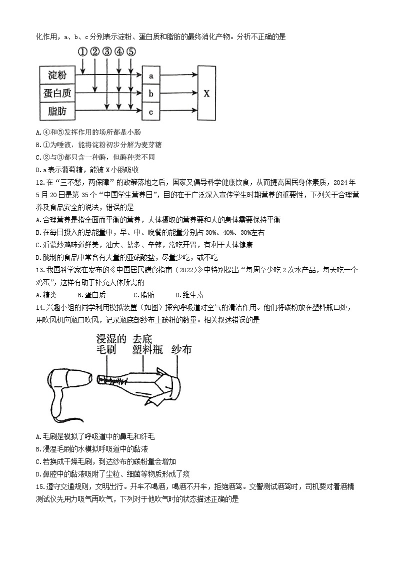 山东省临沂市平邑县2023--2024学年七年级下学期期中监测生物试题第3页