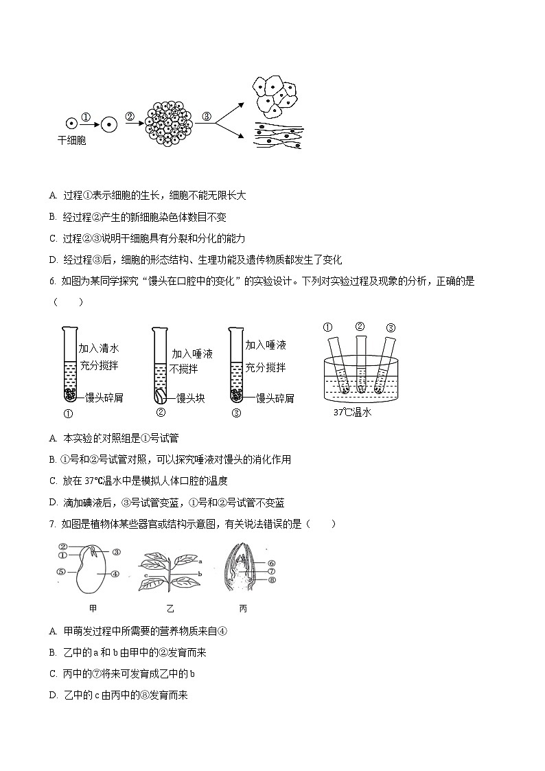 2024年山东省菏泽市巨野县九年级中考一模生物试题（原卷版）第2页