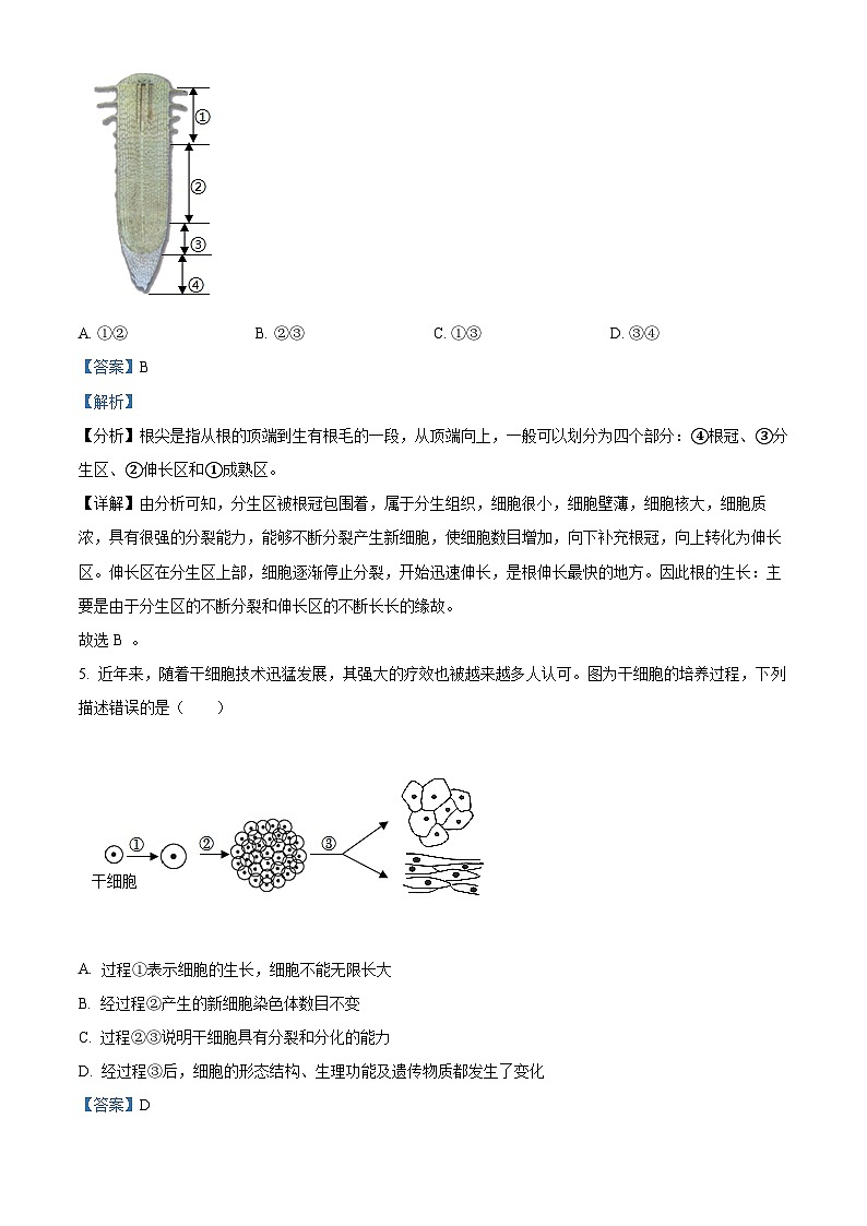 2024年山东省菏泽市巨野县九年级中考一模生物试题（解析版）第3页