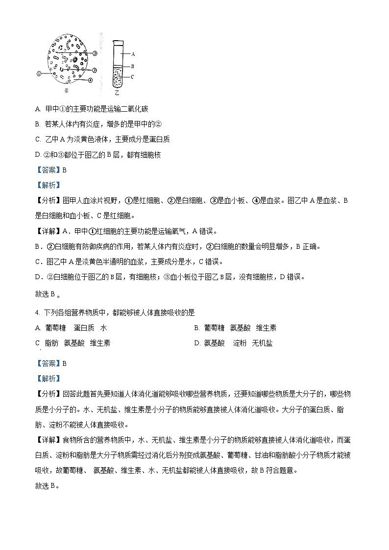辽宁省本溪市2023-2024学年七年级下学期期中生物试题（解析版）第2页