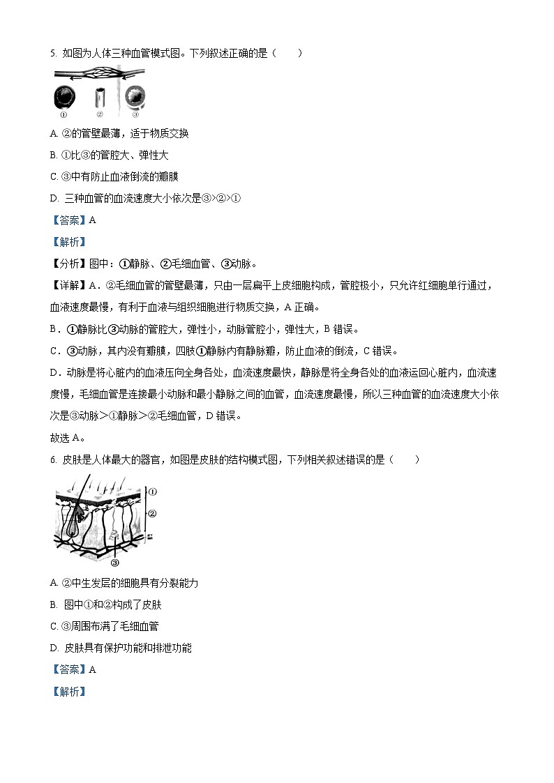 辽宁省本溪市2023-2024学年七年级下学期期中生物试题（解析版）第3页